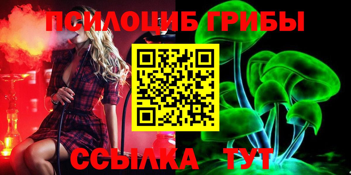 Брянск  Псилоцибиновые грибы мицелий  Галлюциногенные грибы ЛСД  Вход с VPN 