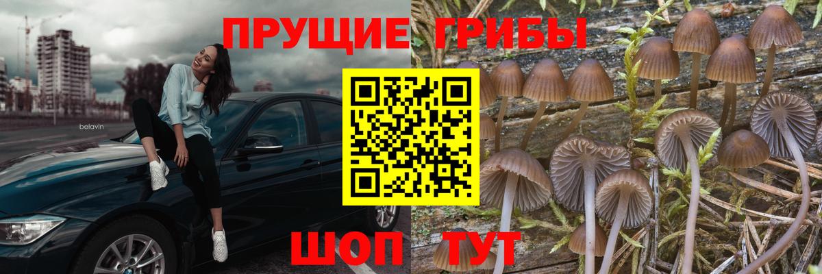 Псилоцибиновые грибы прущие грибы Брянск